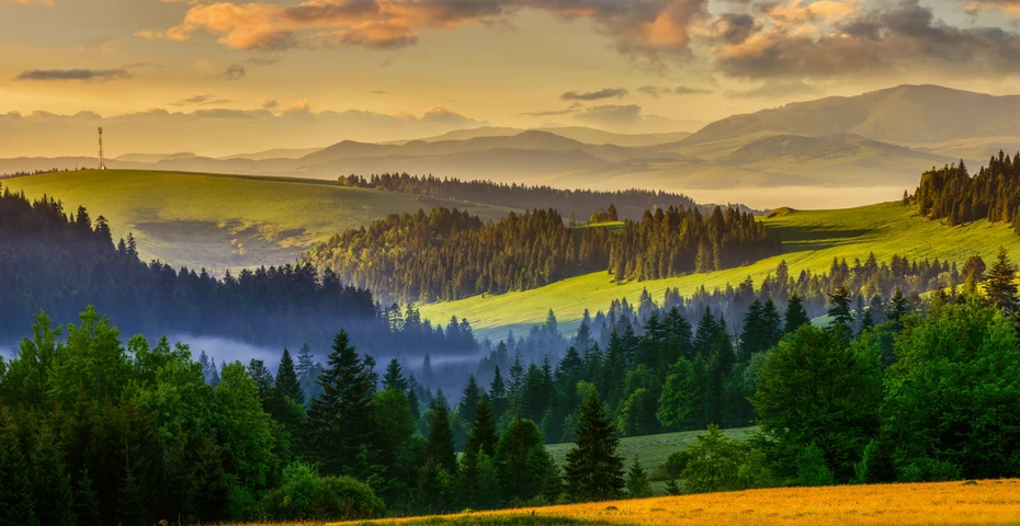 Panorama Puszczy Knyszyńskiej o zachodzie słońca