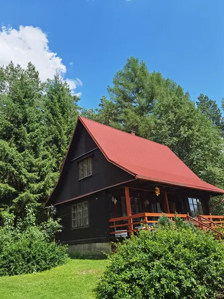 In The Woods Supraśl — dom z bali latem w ogrodzie