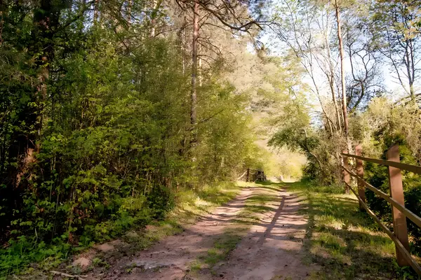 Leśna droga w Puszczy Knyszyńskiej — domek na odludziu podlaskie