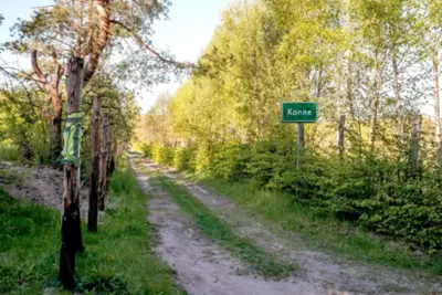 In The Woods Supraśl — leśna droga w Puszczy Knyszyńskiej