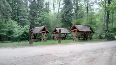 Leśna wiata — okolica domku w lesie na Podlasiu