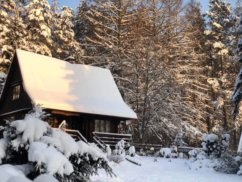 Domek na sylwestra w lesie — chata In The Woods zimą, Puszcza Knyszyńska